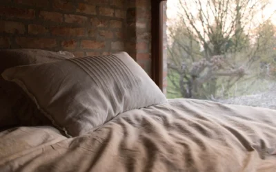 Eco-Friendly Benefits Of Using A Buckwheat Pillow